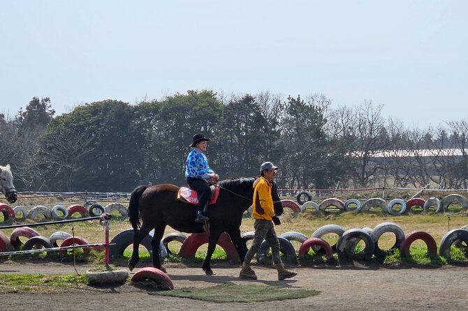 Private 2DAYS Tour a Lot of Experience Driver in Jeju Island - Accessibility and Restrictions