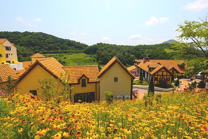 Private 4 Days Nami Island&Petite France&Seoul&Everland Tour - Tour Itinerary and Schedule