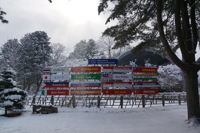 Private Tour: Nami Island & (Alpaca World or Morning Calm) - Accessibility and Safety