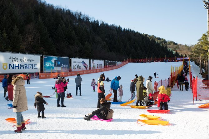 [Private Tour] Nami Island & Snow Viewing and Snow Sled (More Members Less Cost) - Pricing and Discounts