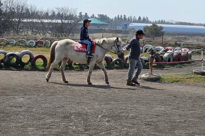 Private Tour South and West Jeju Island With Experienced Driver - Tour Highlights and Itinerary