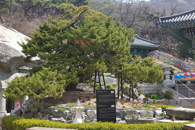 Private Trip to Seongmo Island(Temple) and North Korea Observatory+Kimchi Lesson - Pricing and Booking Details