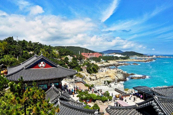 Cruise Layover : Small Group Busan Highlight Day Tour - Booking and Cancellation