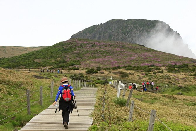 Full-Day Customizable Private Essential Jeju Island Tour for South Course - Customization and Accessibility