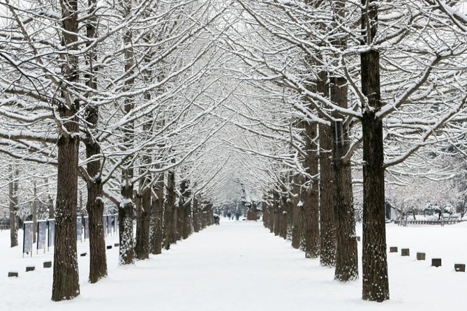 Full-Day Customizable Private Tour to Nami Island and Surrounding Area - Booking and Preparation Tips