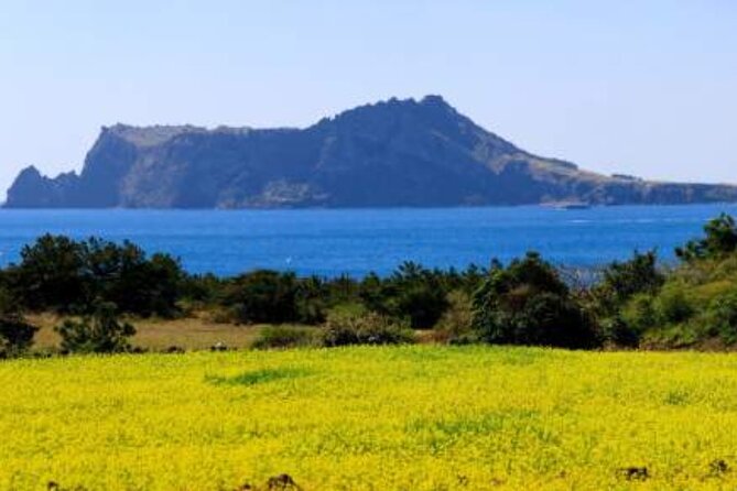 Jeju Island Taxi Join Tour - Contact Information for Drivers