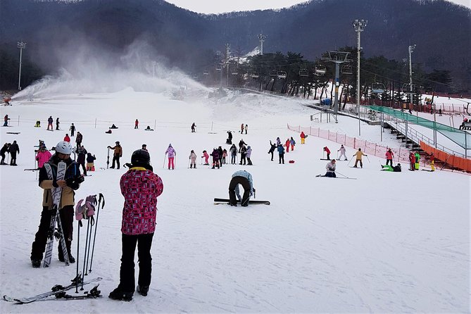 Jisan Ski Resort Serving Breakfast From Seoul (No Shopping) - Experience Winter in Korea