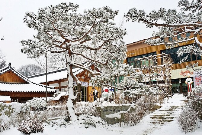 Nami Island and Ski Tour (Elysian Ski Resort) From Seoul - No Shopping - Booking Requirements and Notes