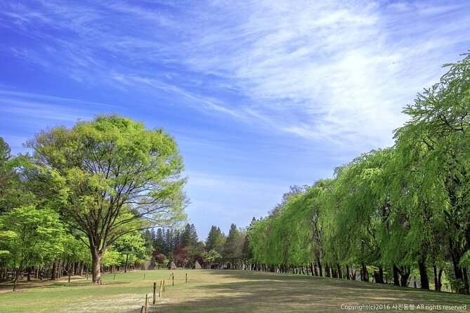 Nami Island & Mount Seorak Day Trip From Seoul - Booking and Cancellation Policies