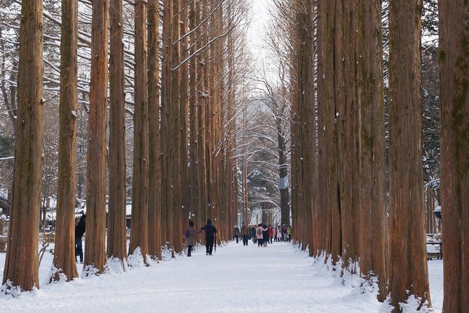 [Private Tour] Nami Island & Snow Viewing and Snow Sled (More Members Less Cost) - Booking and Reservation