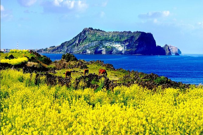 Spring 6 Days Cherry Blossom Jeju&Busan&Jinhae&Gyeongju on 31 Mar to 10 Apr - Transportation and Logistics