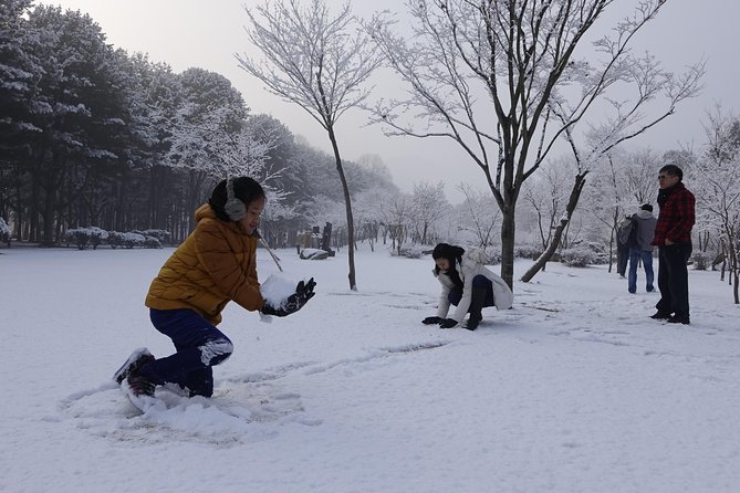 Elysian Gangchon Ski Resort With Nami Island Day Tour From Seoul - Preparing for Your Adventure