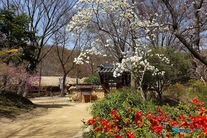 Korean Folk Village Half-Day Guided Tour From Seoul - Cancellation Policy and Refunds