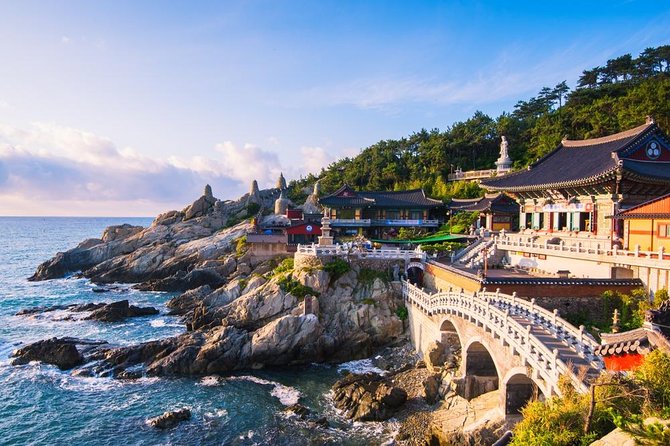 Busan: Fully Customizable Private Tour - Just The Basics