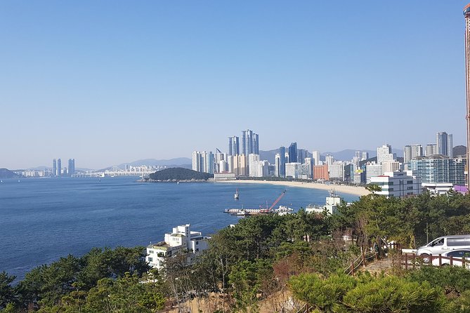 Discover Busan: A Full-Day Private & Custom Tours - Just The Basics