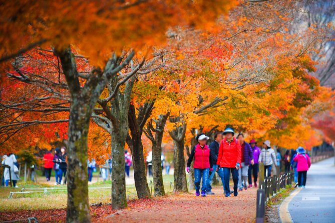 Magnificent Naejangsan National Park Autumn Foliage Tour From Seoul - Just The Basics