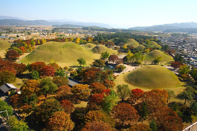 Memorable Autumn Foliage Random Tour (From Busan) - Just The Basics