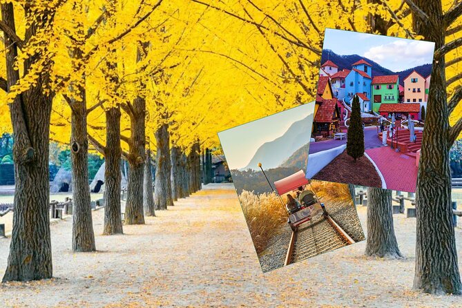 Nami Island & Petite France & Italian Village & Gangchon Rail Bike One-Day Tour - Just The Basics