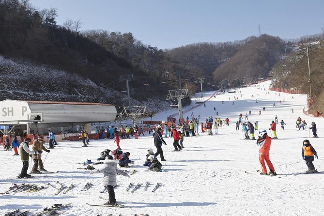 Private 1:1 Ski Lesson Near Seoul, South Korea - Just The Basics