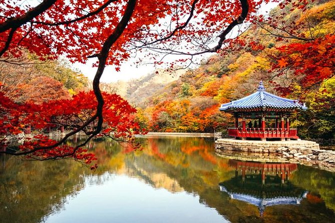 Autumn 8 Days South Korea Tour Including Jeonju,Damyang,Mt.Naejangsan