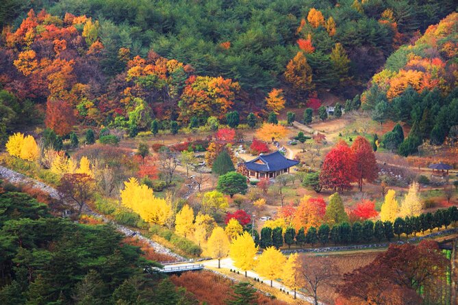 Full-Day Autumn Tour to Unmunsa Bhikkhuni Temple