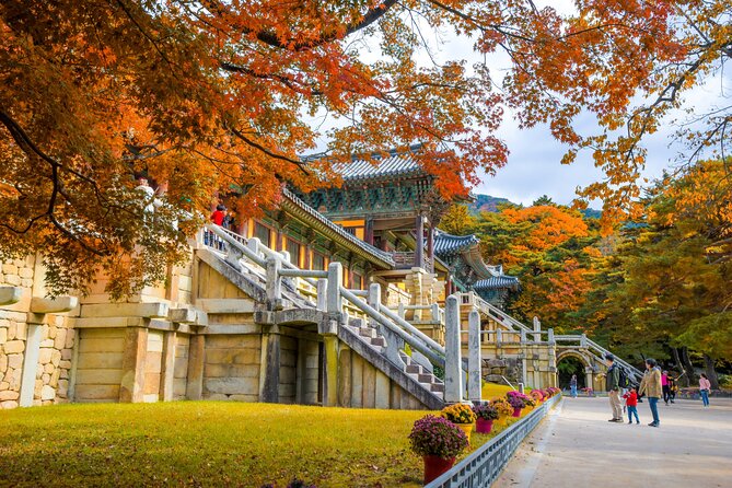 Gyeongju Full-Day Guided Tour From Seoul