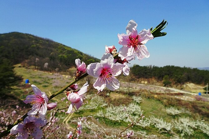 Icheon Mountain Hiking & Culture Tour