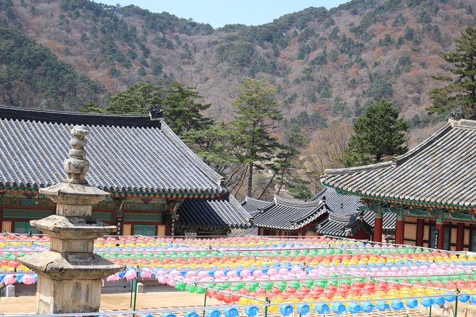 Junam Wetlands and Haeinsa Temple Tour