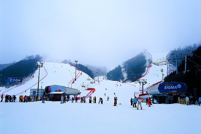 Nami Island + Ski Tour