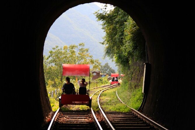 Nami Island & Strawberry Picking and Jam Making & Railbike