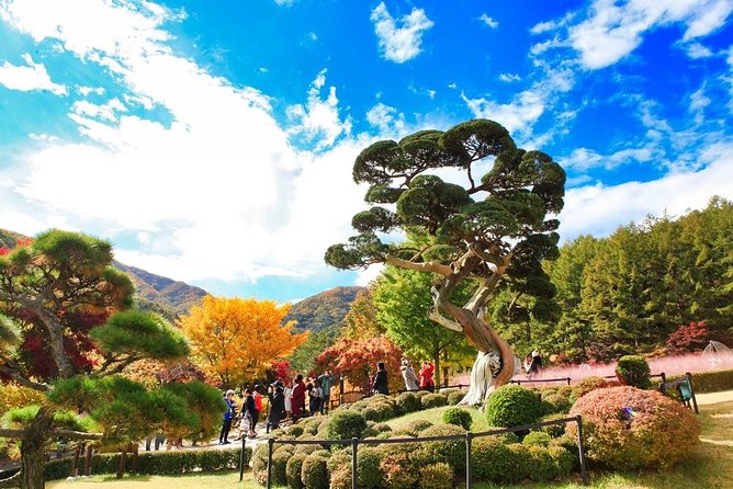 One Day Private Tour-Nami Island, Petite and Garden of Morning Calm(Incl. Lunch) - Private Tour Highlights