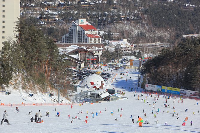 PRIVATE SKI TOUR in Pyeongchang Olympic Ski Resort(More Members Less Cost) - Pyeongchang Olympic Ski Resort Overview