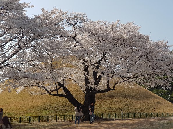 2 Days Gyeongju Private Tour From Seoul and Near Seoul - Tour Logistics and Details