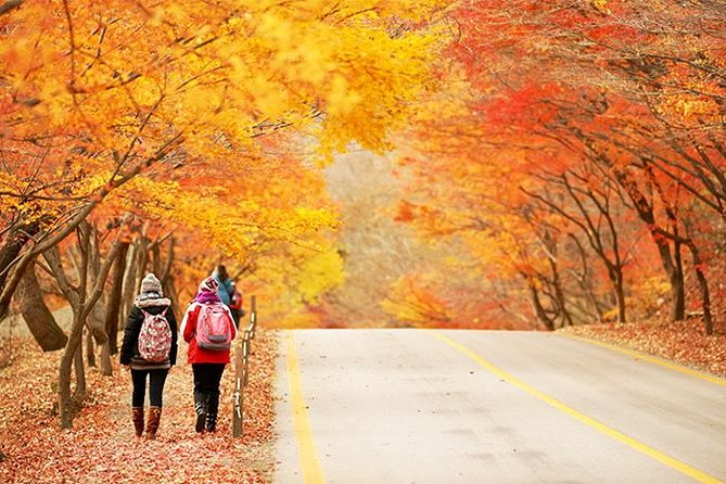 Autumn 8 Days South Korea Tour Including Jeonju,Damyang,Mt.Naejangsan - Accommodation and Meal Plan