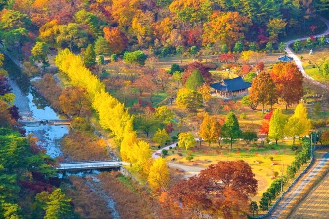 Full-Day Autumn Tour to Unmunsa Bhikkhuni Temple - Whats Included in Tour