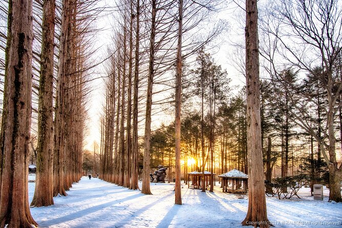 Full Day Private Tour Nami Island & Gangchon Elysian Ski - Essential Information and Notes