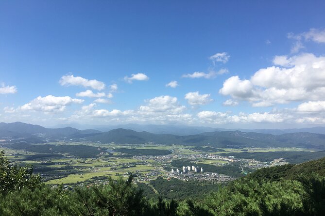 Gyeongju Temple Stay and 2 Days Private Tour Learning Monks Martial Arts - Private Tour Itinerary Details