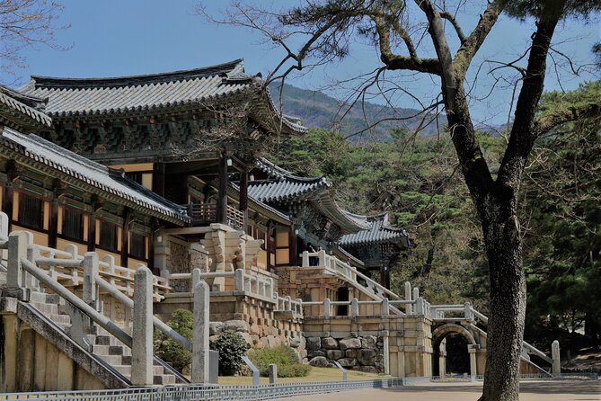 Gyeongju the UNESCO Sites Tour for Small Group - What to Expect