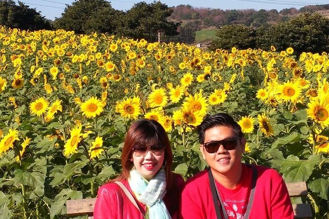 Jeju Private Tour Couple Package to All Area of Jeju Island - Inclusions and Exclusions