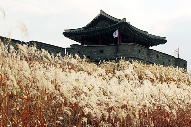 Korea Virtual Tour From Suwon, PEACEFUL Borders Ktourtop10 - Tour Logistics and Requirements