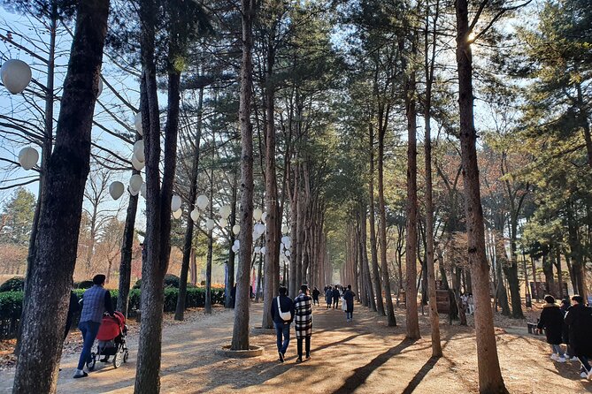 Nami Island & Garden of Morning Calm Private Tour - What to Expect on This Tour