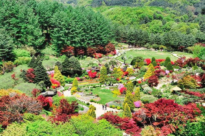 One Day Private Tour-Nami Island, Petite and Garden of Morning Calm(Incl. Lunch) - Itinerary and Schedule