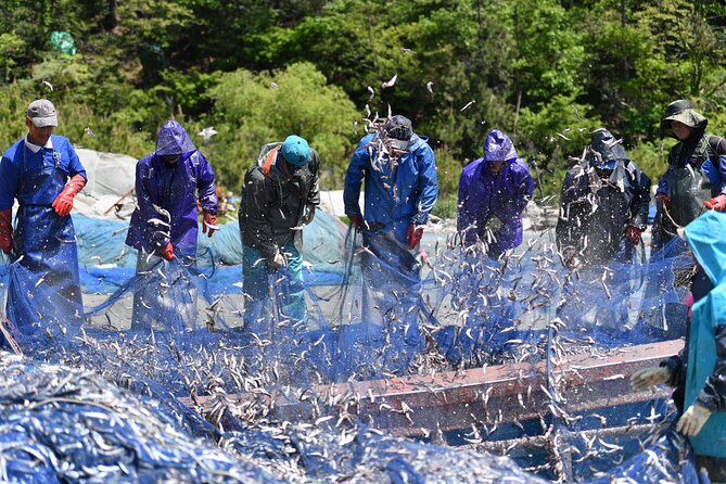 One-Day Trip to the Beautiful Korean Marine National Park, Hallyeo Haesang - Inclusions and Exclusions