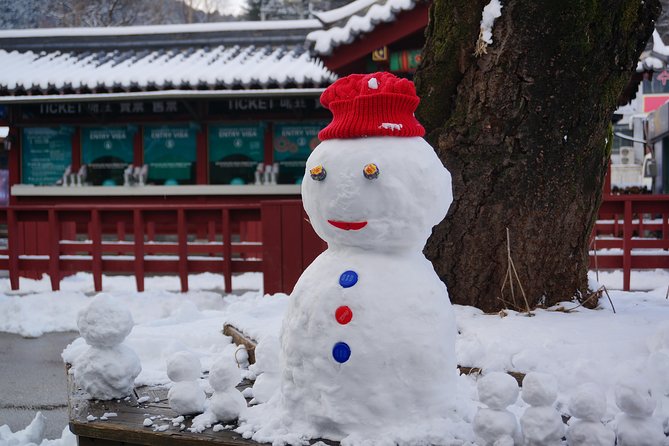 Private Tour Rail Bike & Nami Island & (Petite France or Garden of Morning Calm) - Expert Guides and Transportation