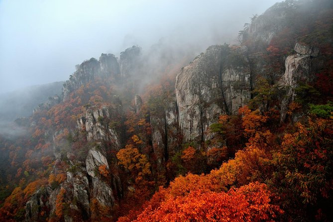 Scenic Daedunsan Provincial Park Day Trip From Seoul - Meeting and Pickup Details