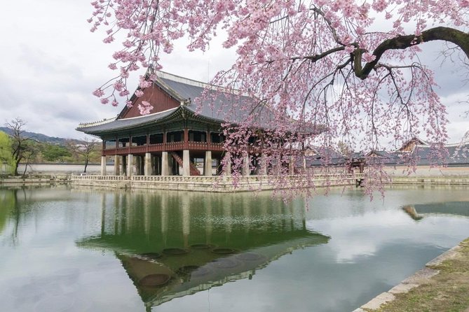 Seoul City Tour - Free Photo Service - Unforgettable Tour Inclusions