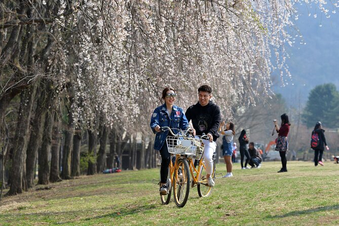 Seoul to Nami Island Round Trip Shuttle Bus Service - Benefits of Shuttle Bus Service