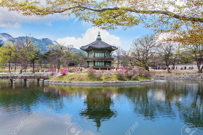 The Beauty of the Korea Cherry Blossom Discover 9days 8nights - Exploring Seoul in 9 Days