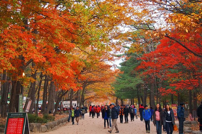 The Beauty of the Korea Fall Foliage Discover 11days 10nights - Jejudos Vibrant Fall Landscapes