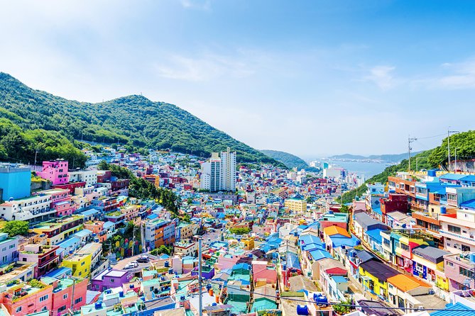 Busan Private Fullday Tour (From Min 2 Ppl) - Cancellation and Refund Policy